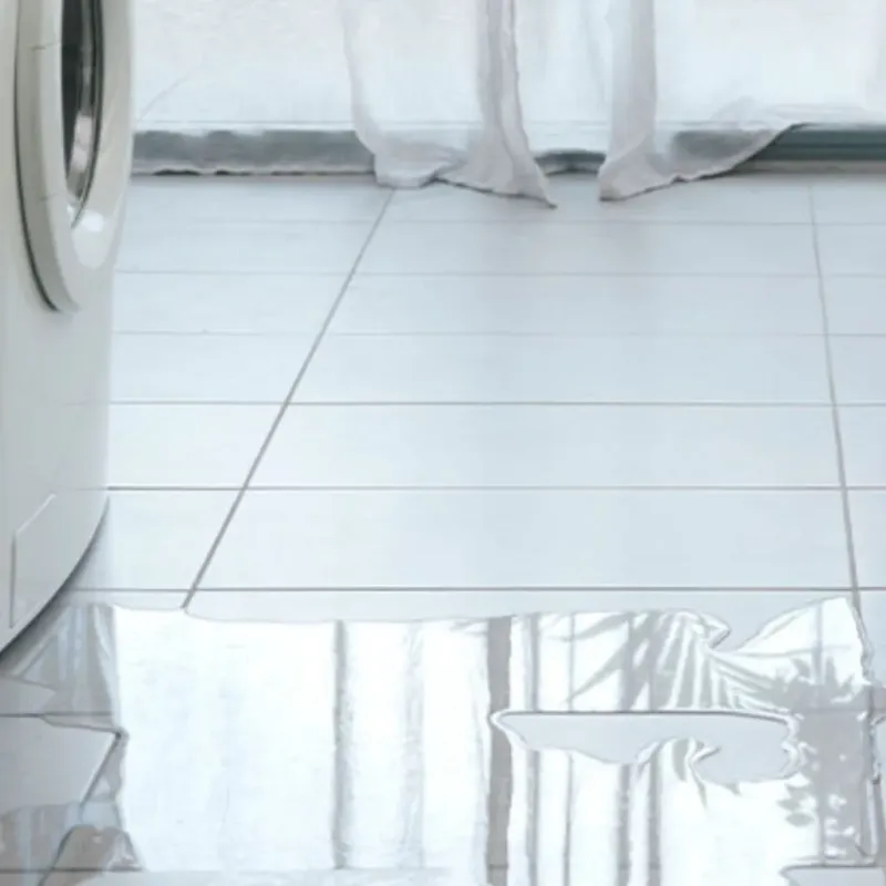 Appliance Leak Cleanup in Woodside, PA