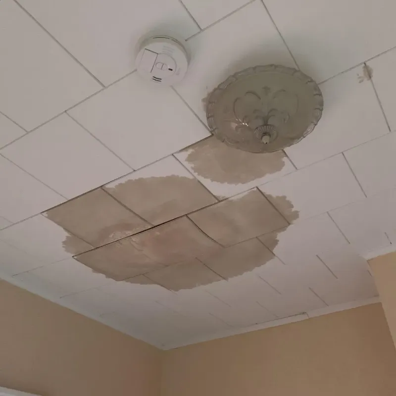 Ceiling Water Damage Repair in Woodside, PA