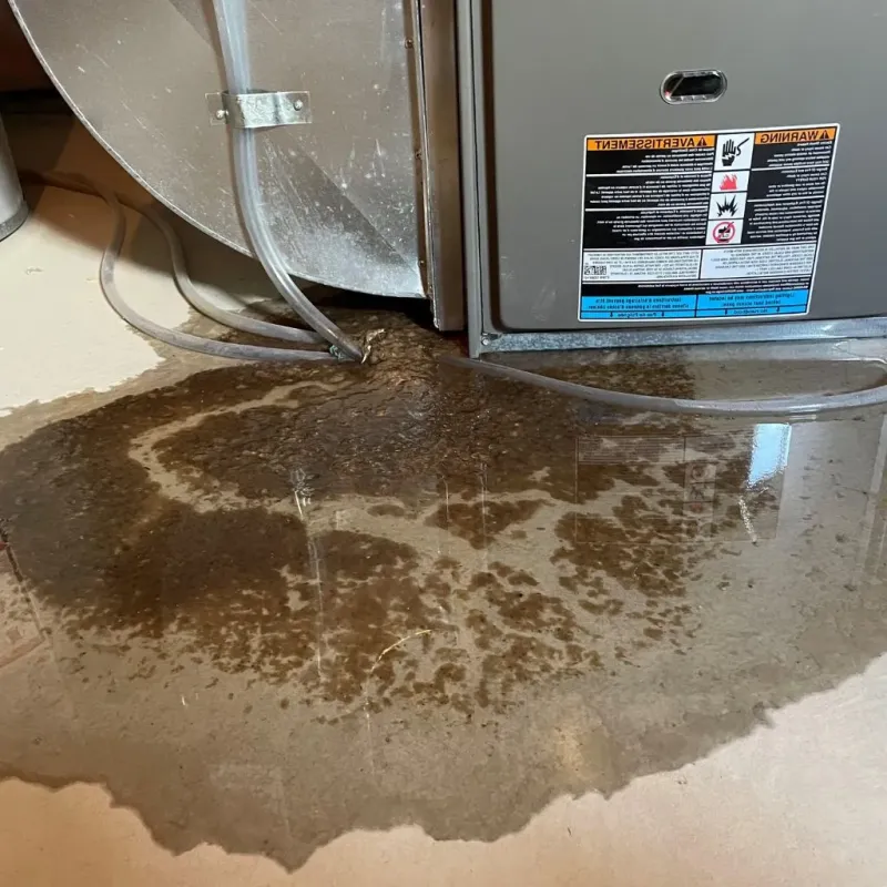 Pipe Burst and Leak Restoration in Woodside, PA